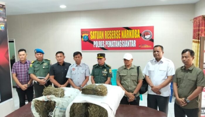 Personel Kodim 0207/Simalungun Temukan 47 Kg Ganja di Belakang Kampus USI, Diserahkan ke Kasatres Narkoba Polres Pematangsiantar