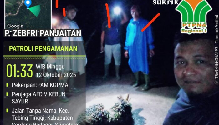 Dirut PTPN 4 Diminta Evaluasi Manajemen Gunung Pamela, Whistleblower Pencurian TBS Di-PHK