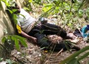 Mayat Pria Ditemukan di Tepi Sungai Bah Bolon, Warga Siantar Timur Heboh